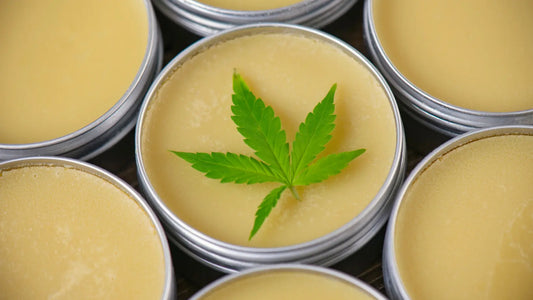 Best-CBD-Products-from-Color-Up-s-2022-Lineup House of VXN