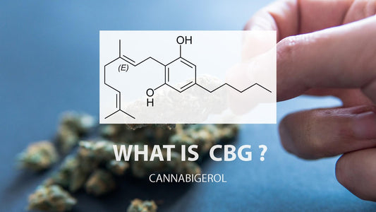 What is CBG?