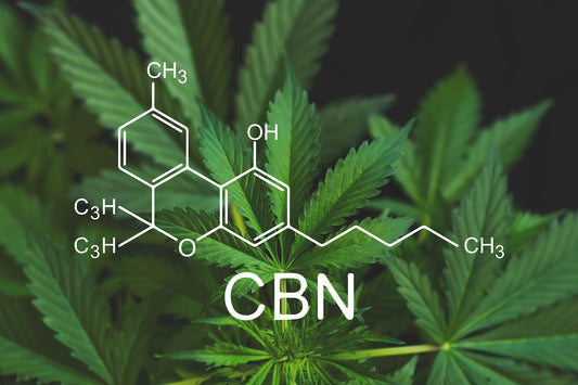 Is CBN Legal?