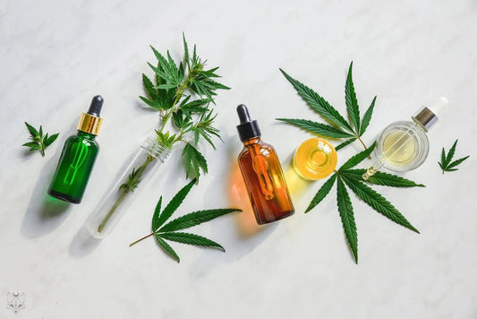 Will-CBD-Cause-You-To-Fail-A-Drug-Test House of VXN formerly Color Up Therapeutics