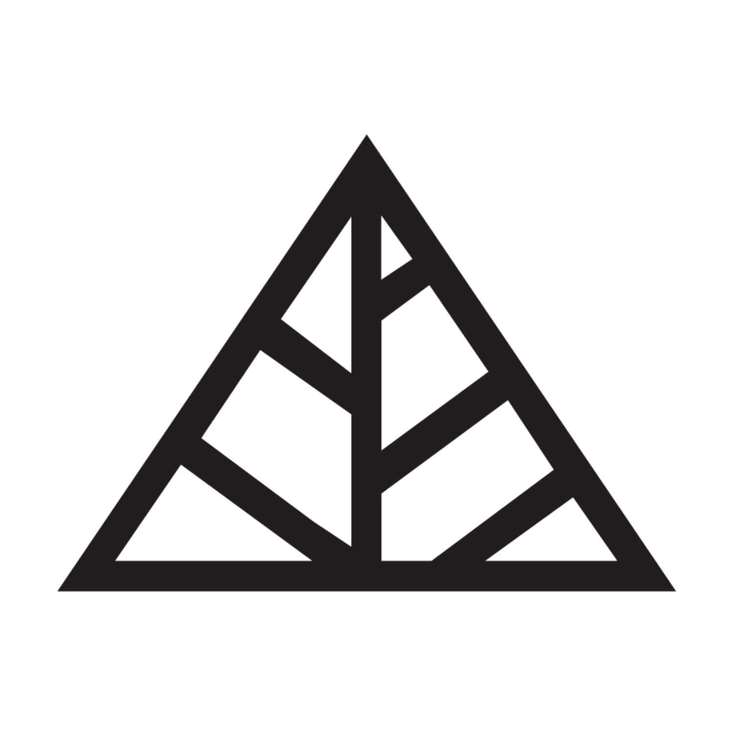 Shop Pro Backbar featuring Shop Wholesale's Color Up Pink Triangle Logo for premium professional products