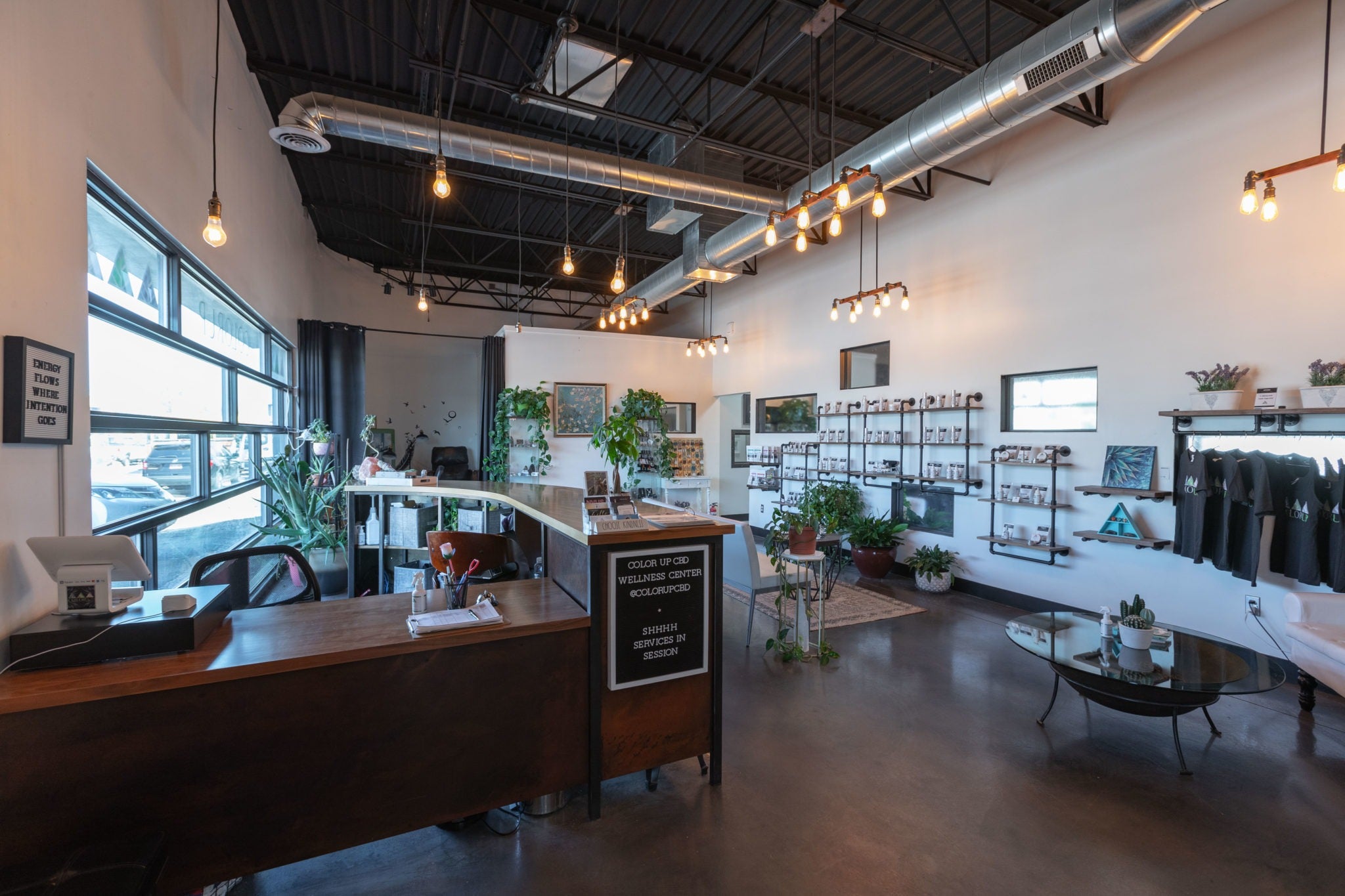 Modern office interior with large windows, wooden desks, and decorative plants inside Color Up Wellness Center