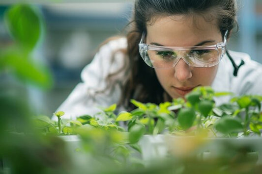 The Ultimate Guide to Nature's Premium Skincare Secrets