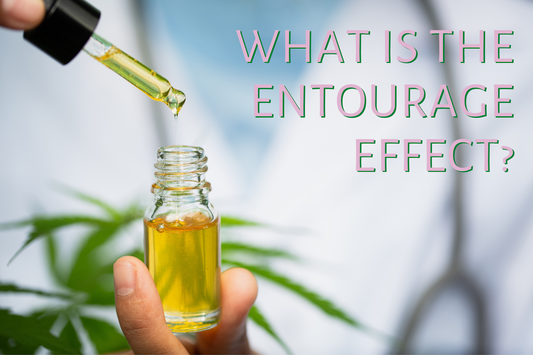 What Is The Entourage Effect