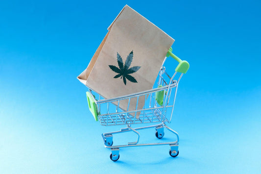 What to Look for When You Buy CBD Products Online