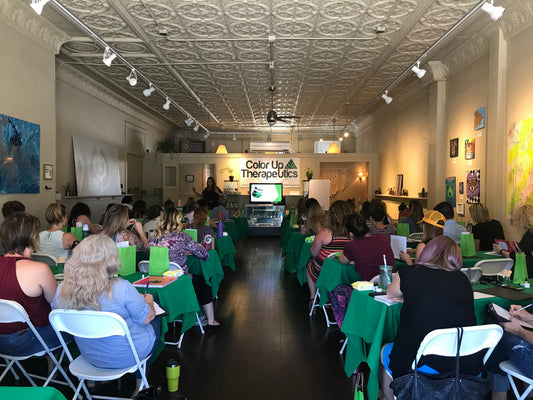 A Color Up professional education presentation with attendees.