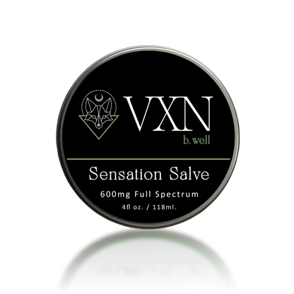 Power Balm - Camphor Sensation Salve - 1600mg Full Spectrum CBD - 4oz House of VXN