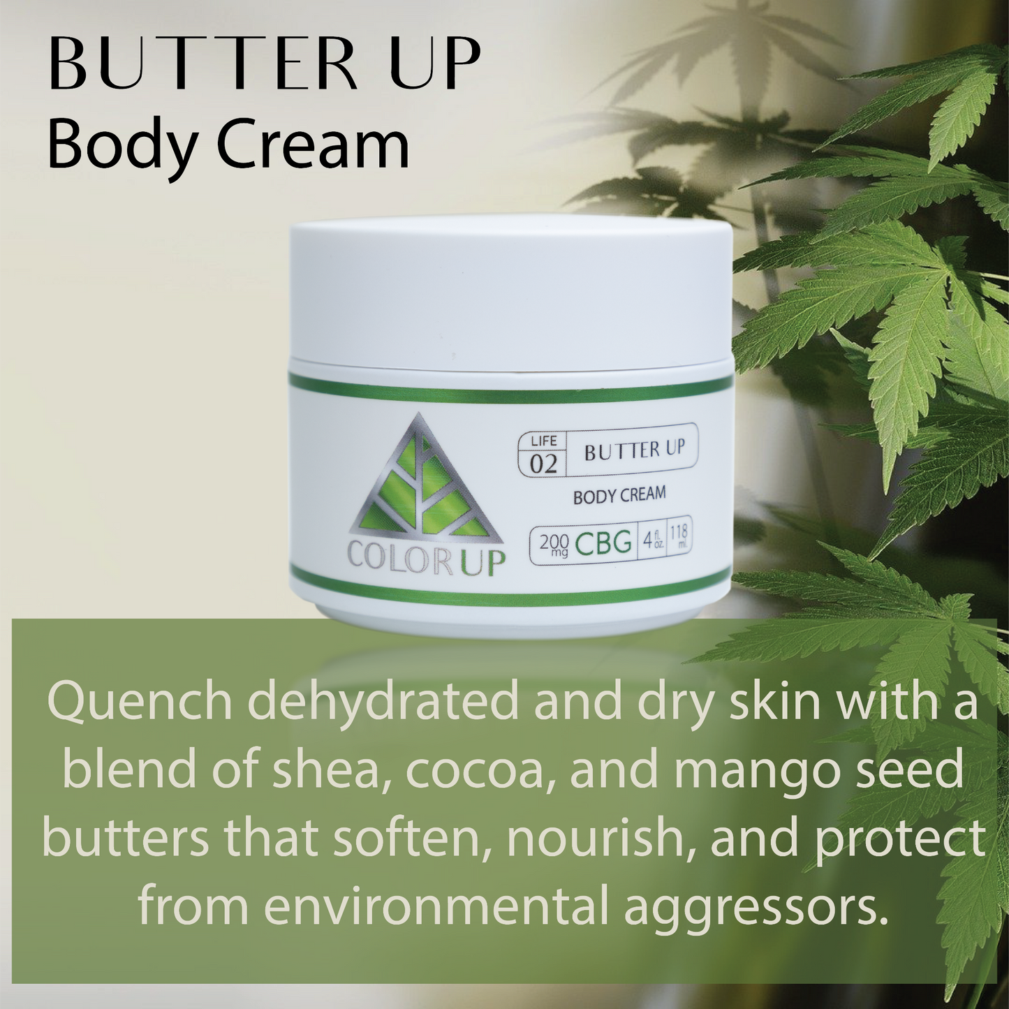 White jar with 'Color Up' Butter Up label and green triangle with product information. 