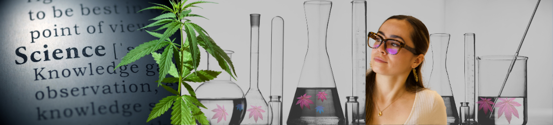 Color Up scientist looking out from flasks and mixtures with a book highlighting 'science' and a hemp plant.