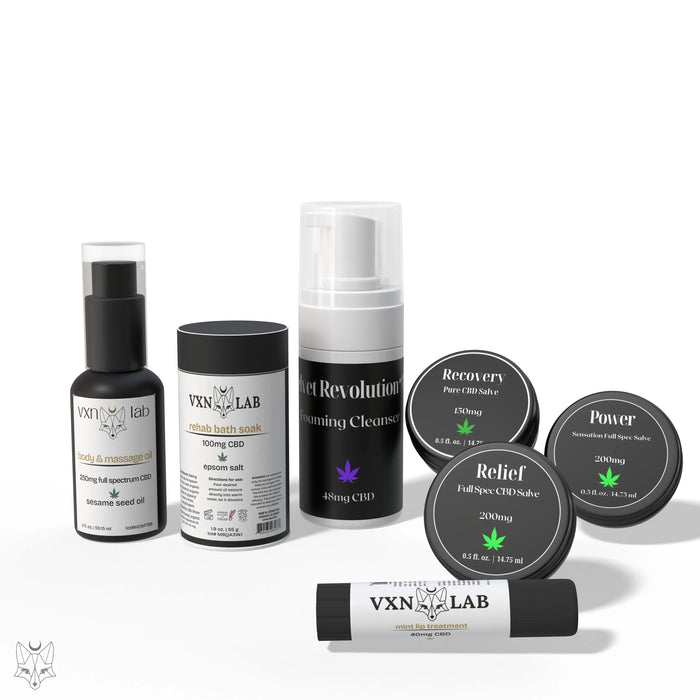 VXN On the Go Bundle House of VXN Skincare House of VXN formerly Color Up Therapeutics