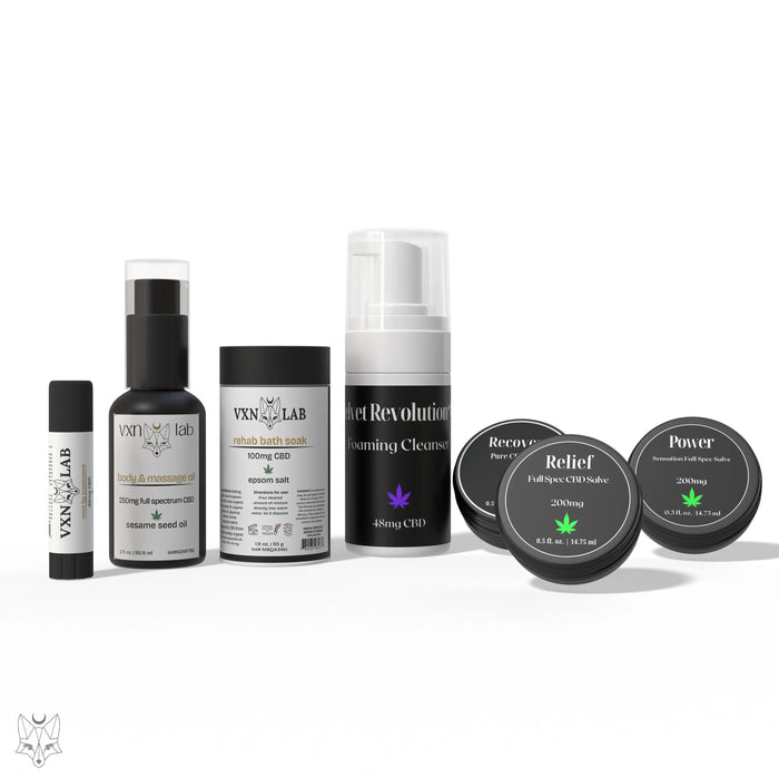 VXN On the Go Bundle House of VXN Skincare House of VXN formerly Color Up Therapeutics