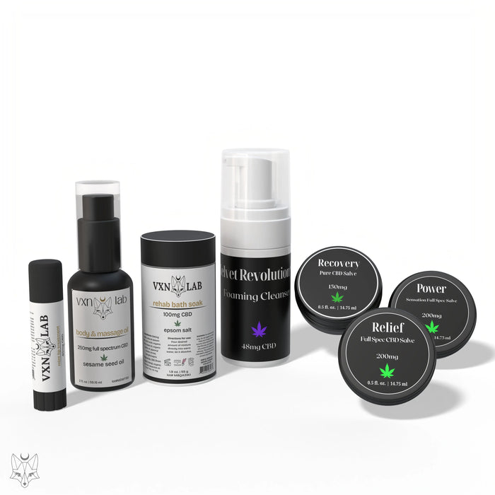 VXN On the Go Bundle House of VXN Skincare House of VXN formerly Color Up Therapeutics