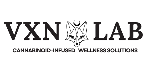 VXN Lab logo with a stylized fox emblem on a white background