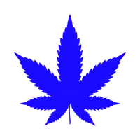CBD Serums
