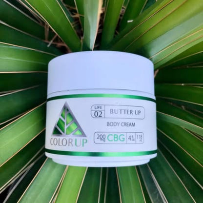 White jar with Color Up green label and triangle Body Butter CBG Cream with green plant in the background.