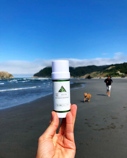 Hand holding a white bottle with a green 'Color Up' label on a beach with people and a dog in the background.
