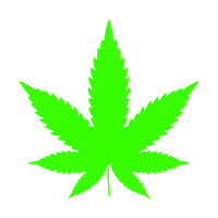 CBD Body Care