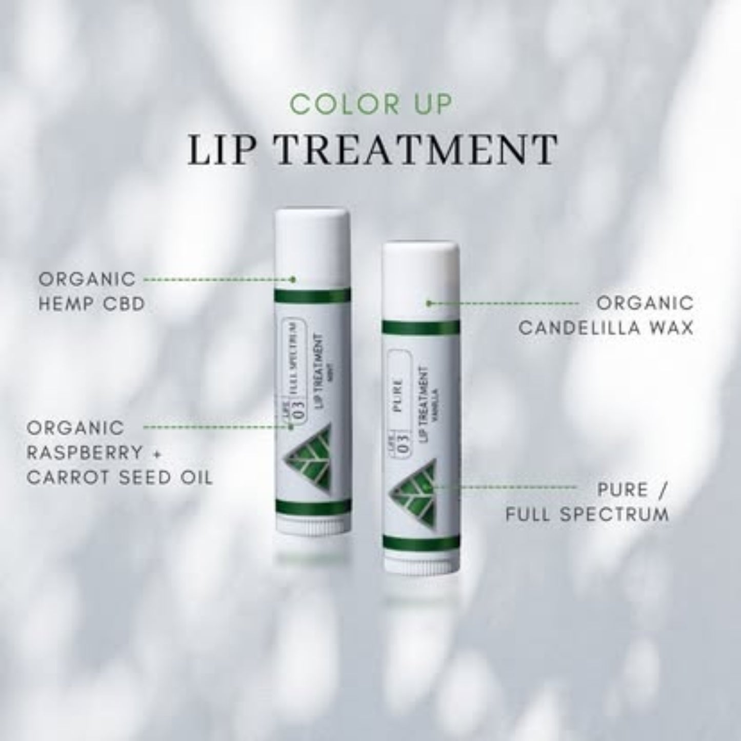 Two lip treatment products with labels on a light gray background