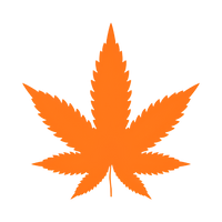 CBD Masks