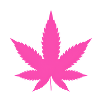 CBD Moisturizers