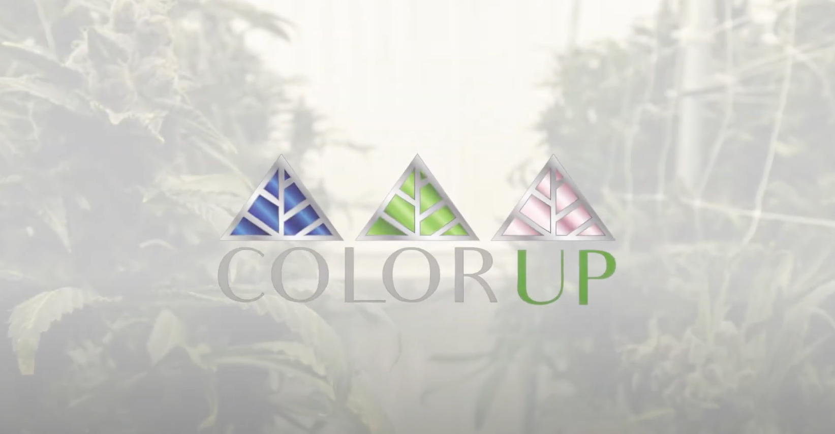Load video: Made with Love&quot; by Color Up