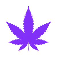 CBD Cleansers