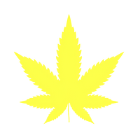 CBD Face Oils