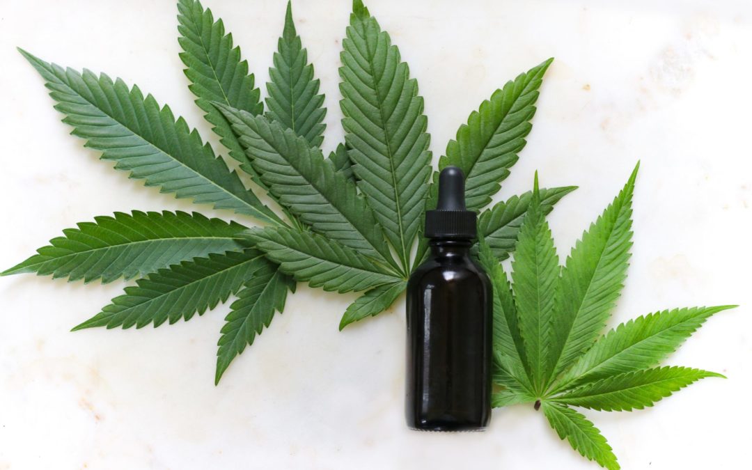 cannabis leaves and CBD tincture