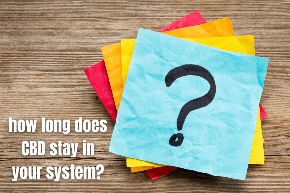 Graphic of a question mark with text asking the question how long does CBD stay in your system