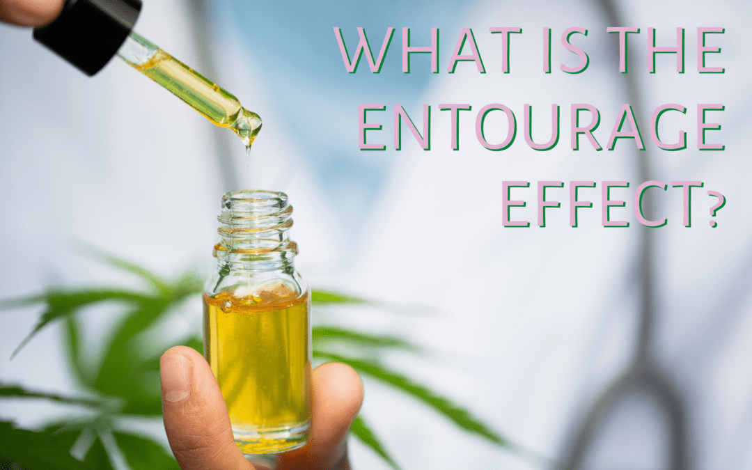 close up photo of CBD tincture bottle with words what is the entourage effect