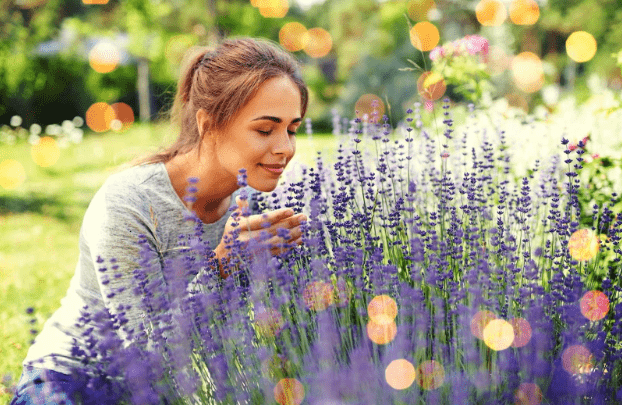 woman smelling lavender to take in its scent derived from terpenes